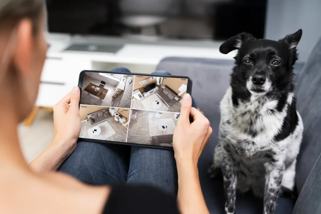 app pet tech products