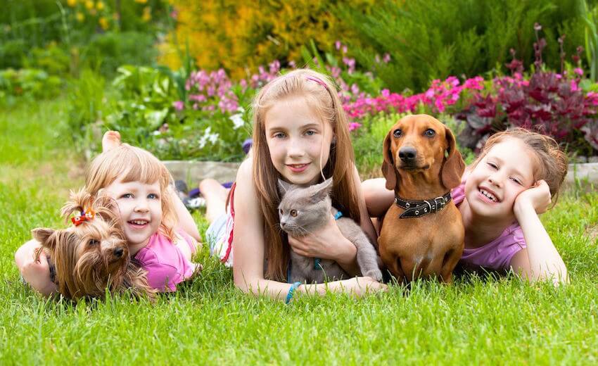 teaching proper pet care is good for both your child and pet