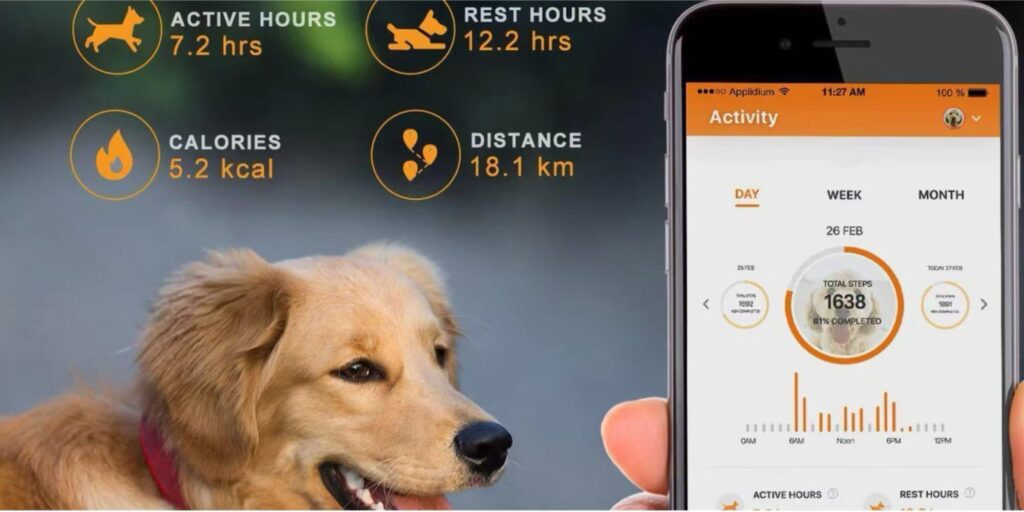 activity monitoring gps