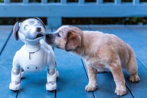 pet robot and pet
