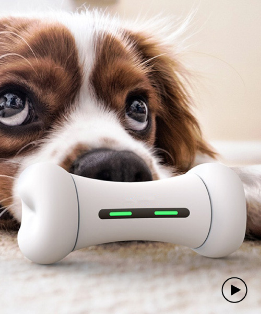 smart dog toy
