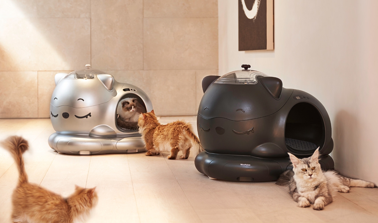 wh automitic self clean cat liter box 4