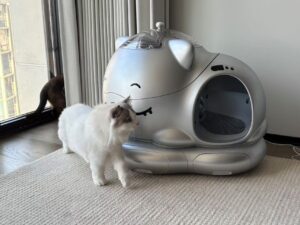 wh automitic self clean cat liter box 6