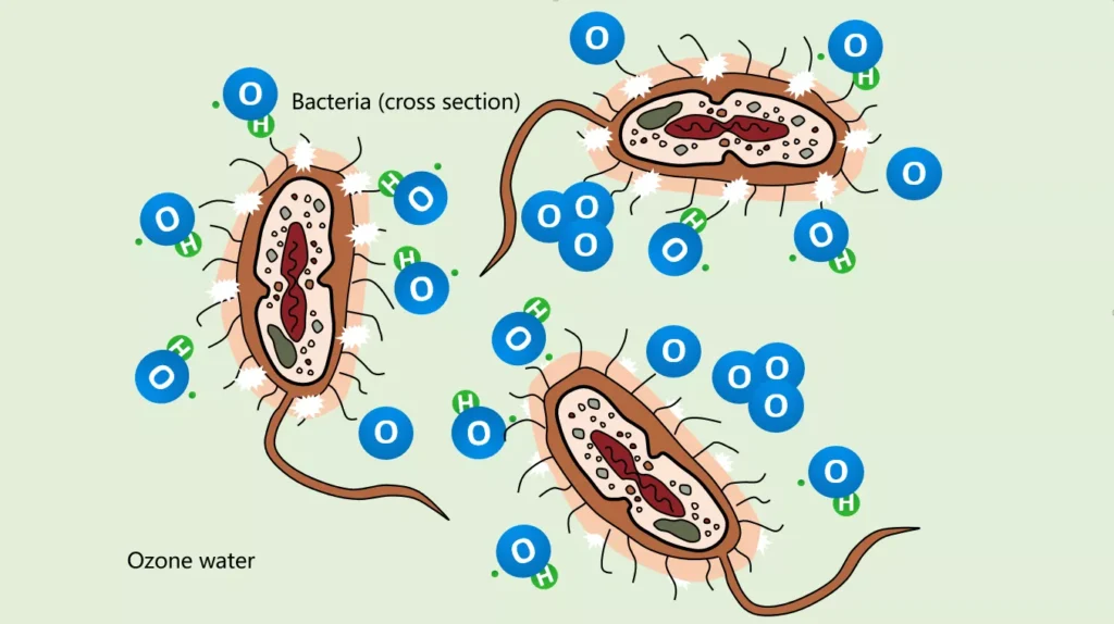 ozone disinfection mechanism bluamec technology