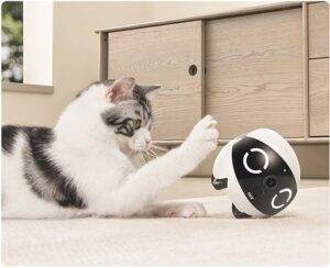 a cat is playing with a pet smart toy with camera