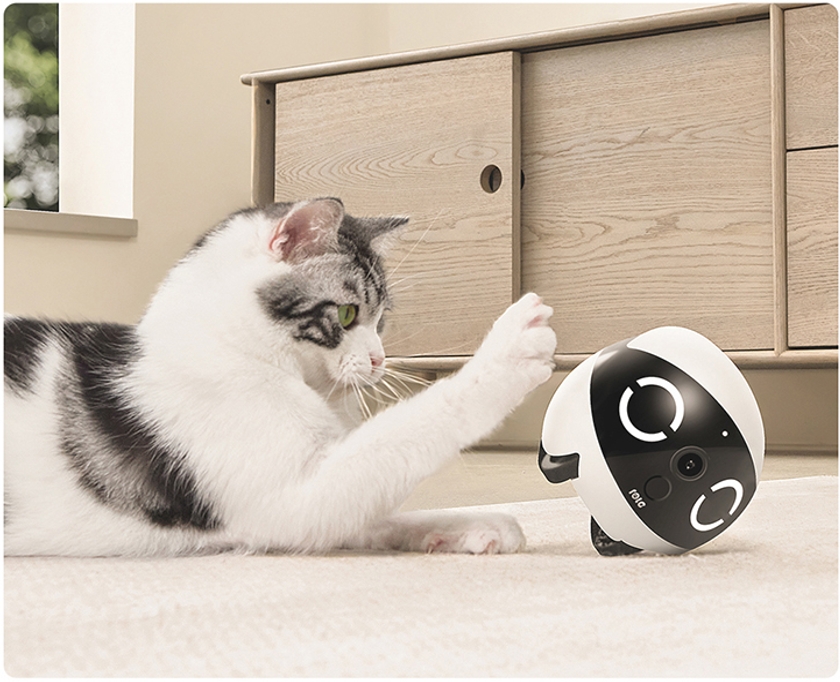 a cat is playing with a pet smart toy with camera