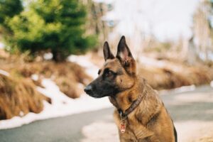 christoph schmid pxap4pgbj6e unsplash