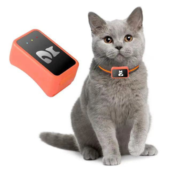 pet 4g gps tracker c09a