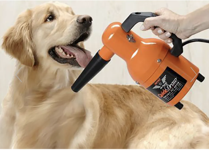 dog being dried with a force dryer