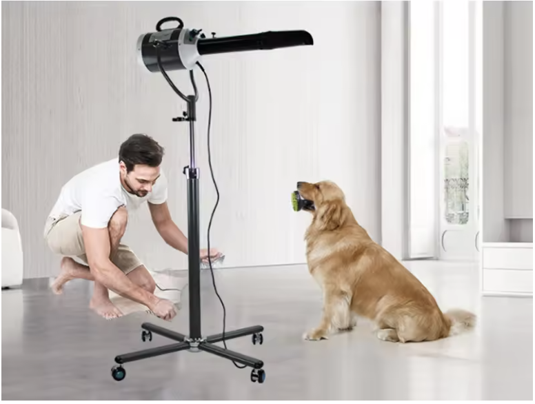 Image of a dog under a dog dryer