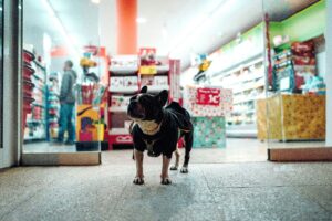 peter plashkin f3lbkl y9ky unsplash (1)