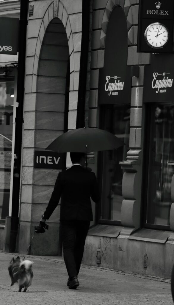 image of a person walking a small dog in a city street