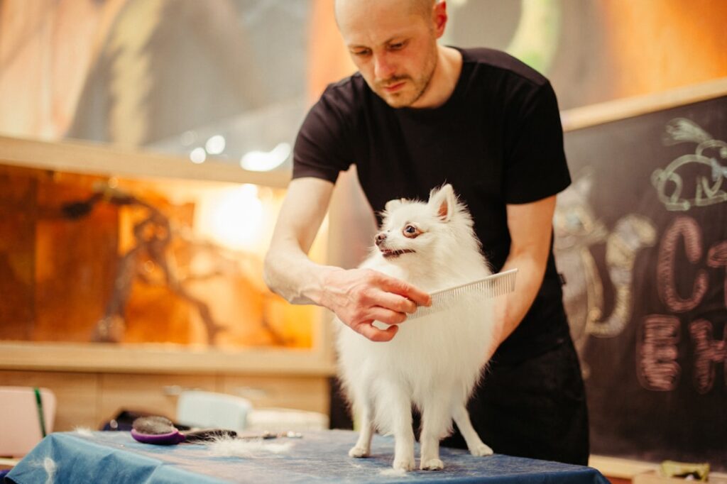 a dog is having grooming service