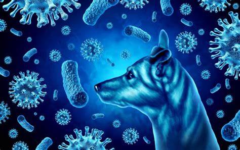 a dog is sourndded by many kinds of bacteries