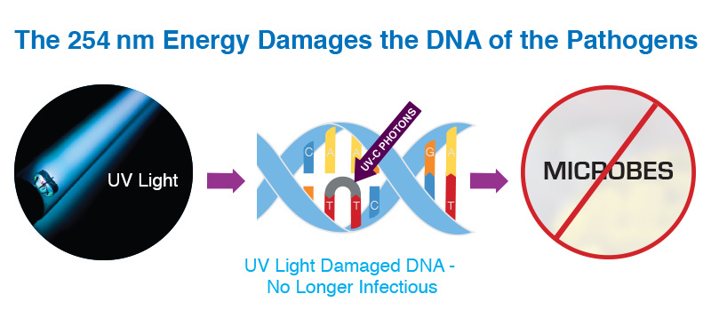 the 254nm energy damages the dna of the pathogens