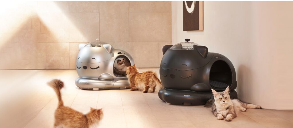 wh automitic self clean cat liter box 5
