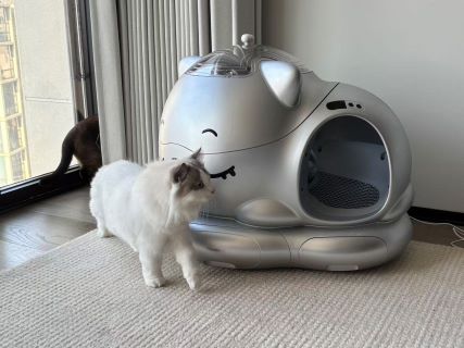 wh automitic self clean cat liter box 6 427320